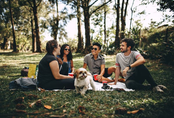 Top tips to keep your pet safe during camping